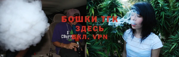хмурый Белокуриха