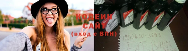 эйфоретик Арсеньев