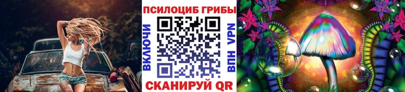 Псилоцибиновые грибы Cubensis  Певек 